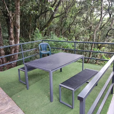 Ferienhaus Parque House Cedro *
